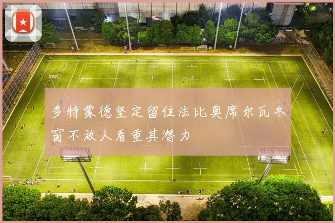 多特蒙德坚定留住法比奥席尔瓦冬窗不放人看重其潜力